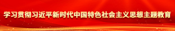 免费操逼网站视频学习贯彻习近平新时代中国特色社会主义思想主题教育